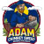 chimney service icon