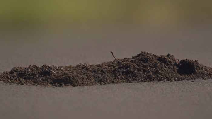 Creosote is harmful to breathe