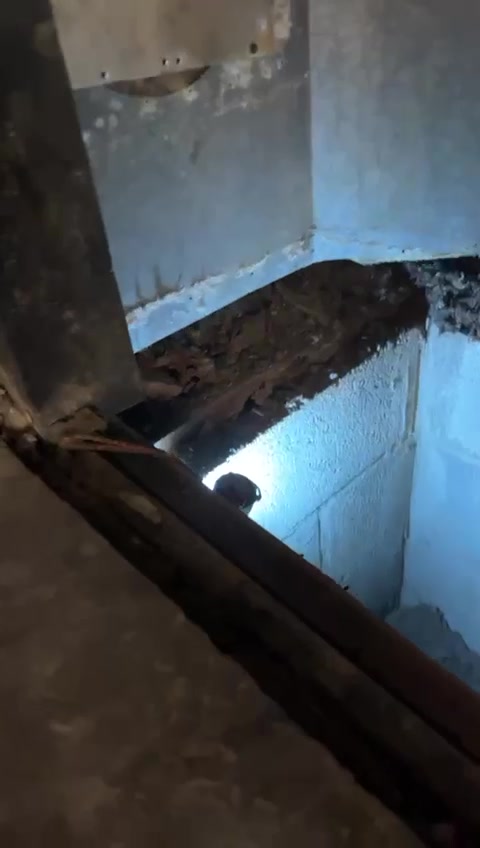 Certified technician performing a commercial chimney inspection on a Denver rooftop