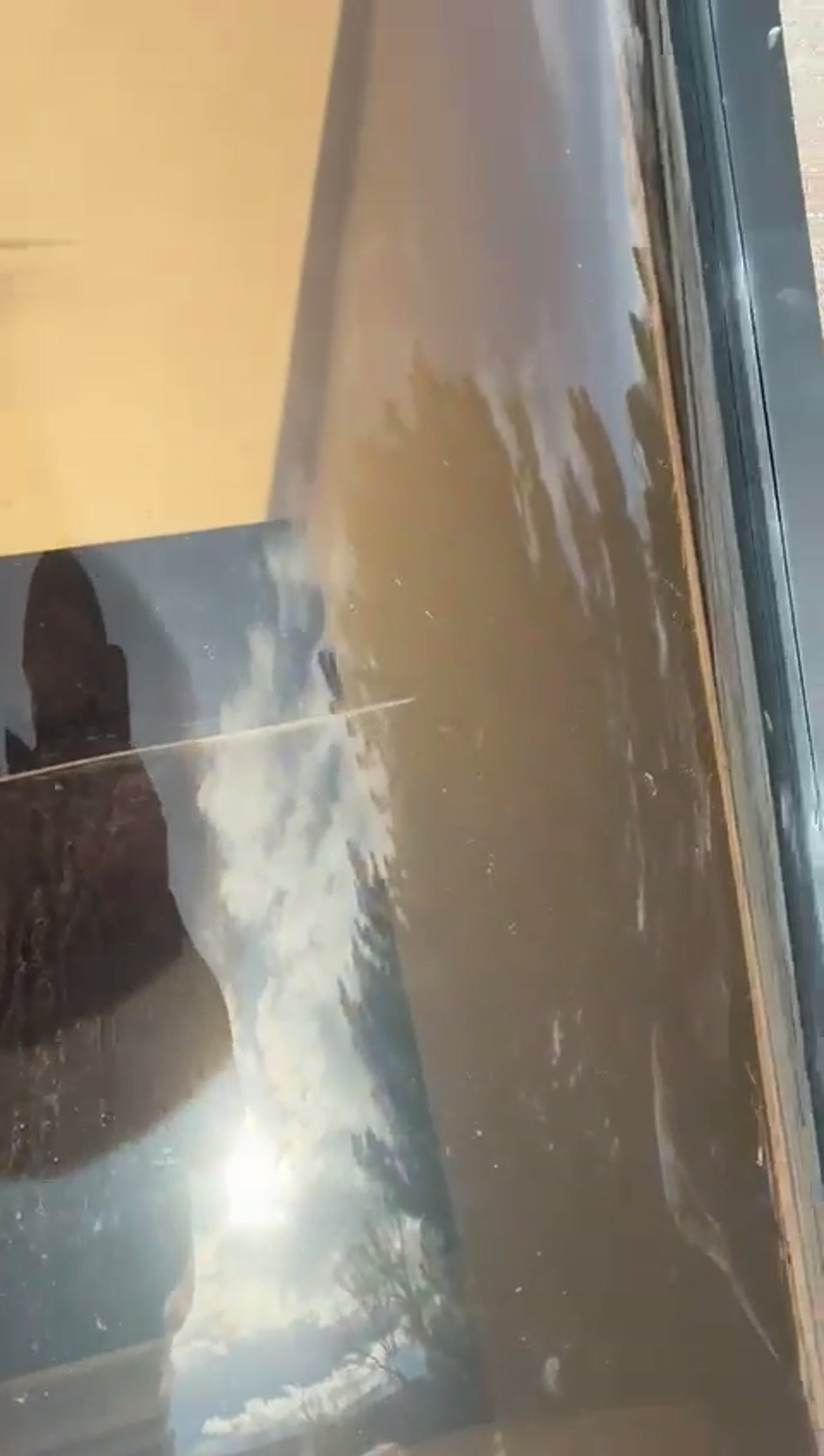 Live camera feed Adam Chimney Sweep reviewing a live chimney flue camera feed in Denver