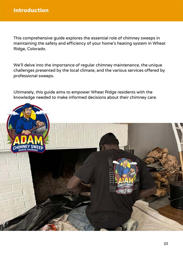 Chimney Sweep in Wheat Ridge, CO 2 chimney and firebox pros in wheat ridge
